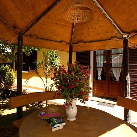 Agriturismo I Cerroni Montescudaio Bagian luar foto