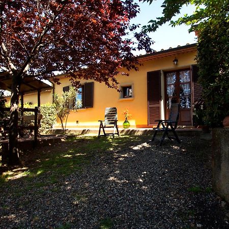 Agriturismo I Cerroni Montescudaio Bagian luar foto