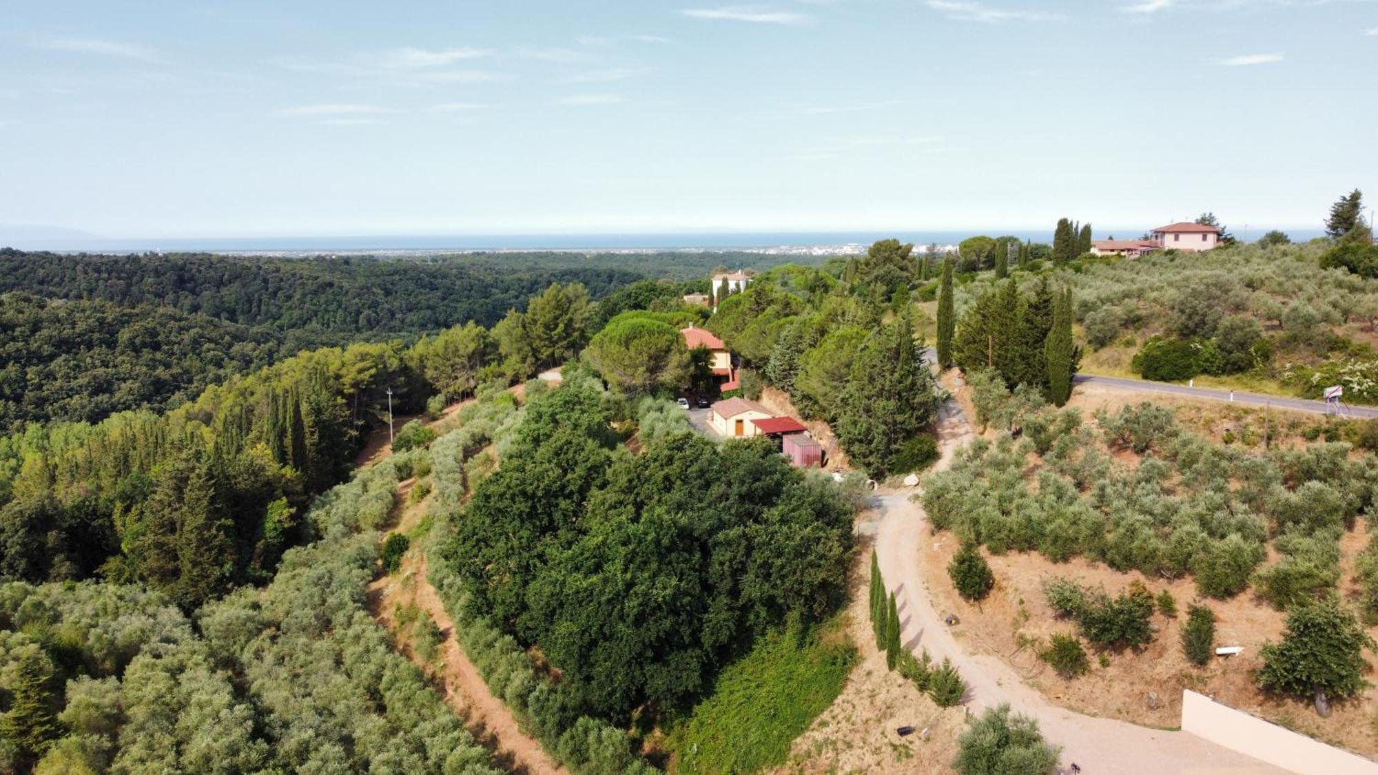 Agriturismo I Cerroni Montescudaio Bagian luar foto