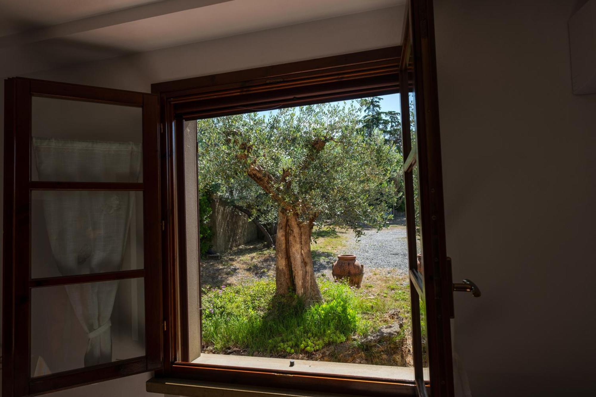 Agriturismo I Cerroni Montescudaio Bagian luar foto